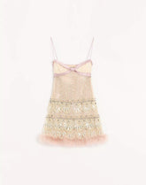 Tulle Illusione Embroidered Short Dress