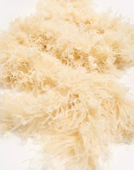 Valentino Feathers Scarf With Ostrich And Turkey Feathers