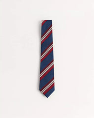 Valentie Striped Silk Tie