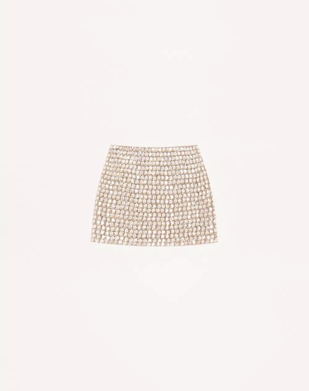 Mini Skirt In Embroidered Organza